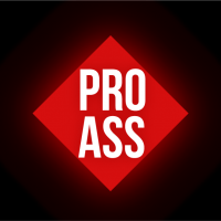 Компания "PRO ASS"