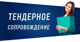 Услуги по сопровождению тендеров