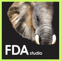 FDA-Studio