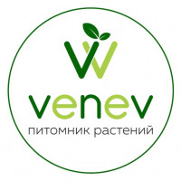 "Venev" - растения оптом